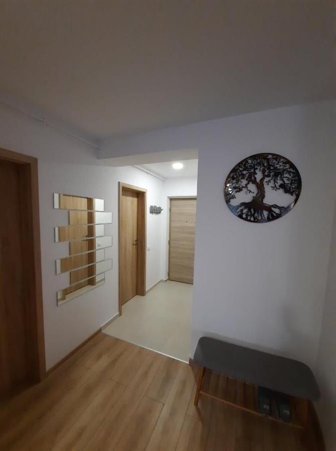 Sorin'S Comfortable Apartment Braşov Eksteriør bilde